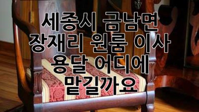 세종시 금남면 장재리 원룸 이사 용달, 어디에 맡길까요?