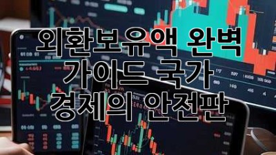 외환보유액 완벽 가이드: 국가 경제의 안전판