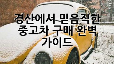 경산에서 믿음직한 중고차 구매, 완벽 가이드 🚗✨