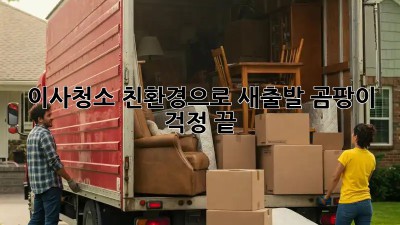 이사청소, 친환경으로 새출발! 곰팡이 걱정 끝!